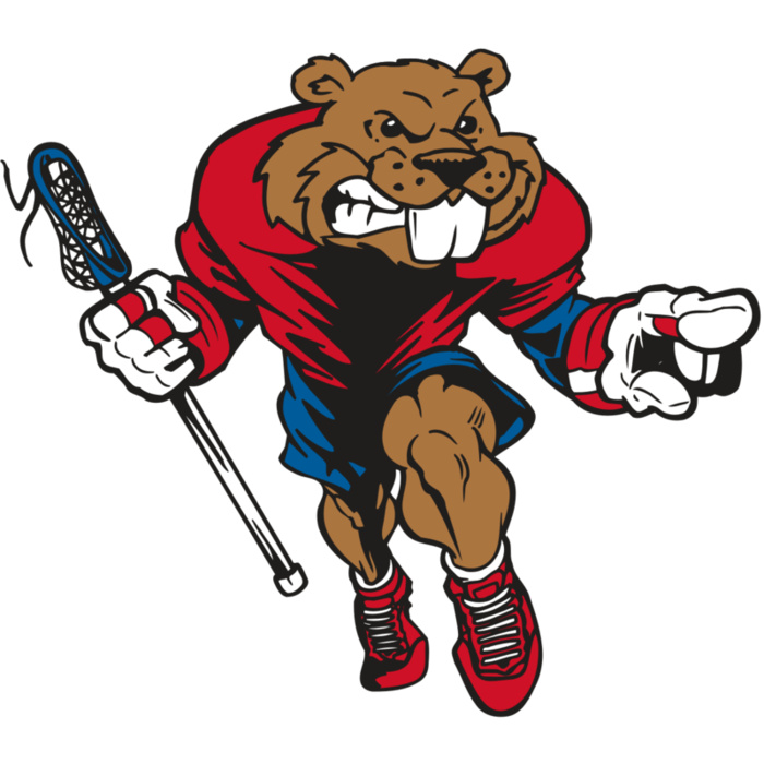 AR8 BEAVER 03 RQC Vignette