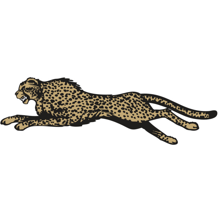 BAW CHEETAH 01 RC Vignette