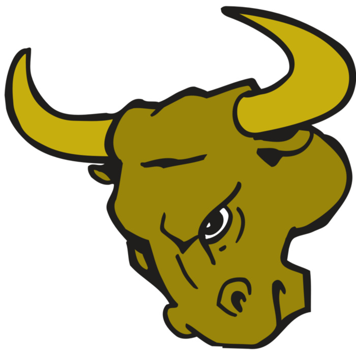 AR BULL 26 RC Vignette