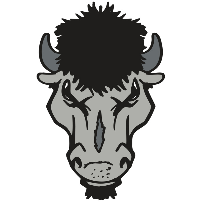 AR BUFFALO 15 RC Vignette