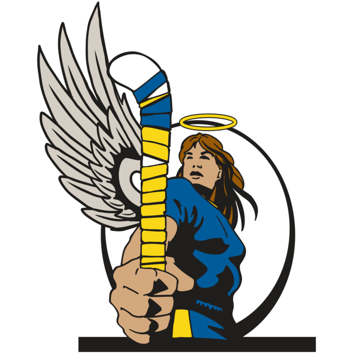 AR17 ANGEL FLD HKY 01 RQC Vignette