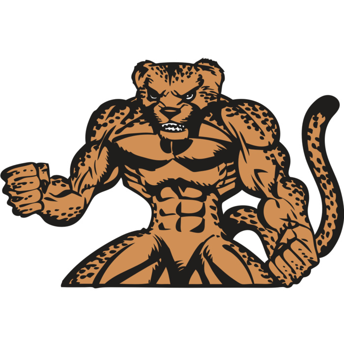 BAW CHEETAH 07 RC Vignette