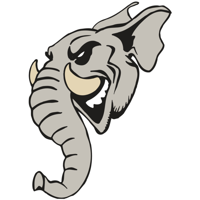 AR5 Elephant 11 RQC Vignette