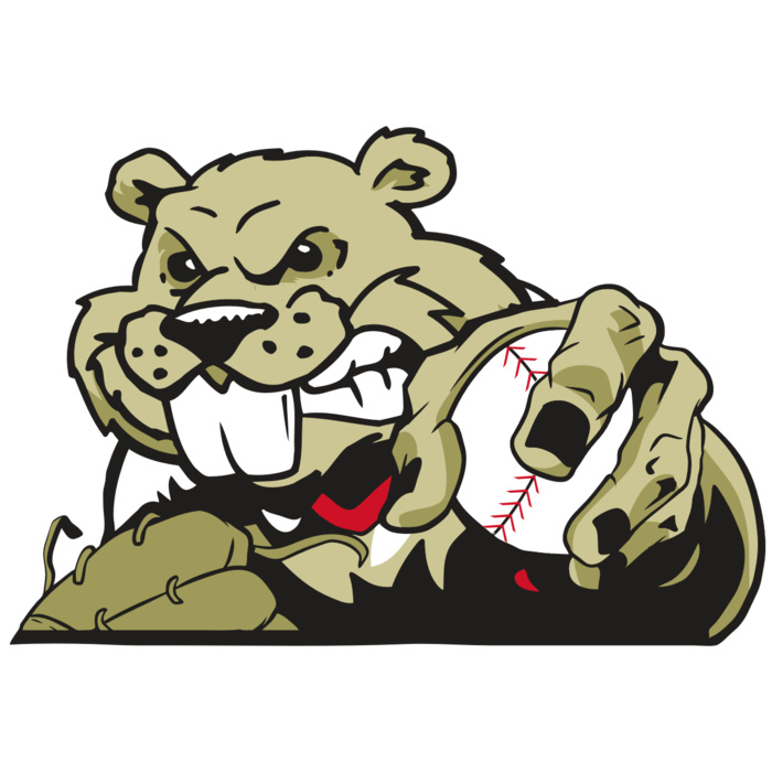 AR4 BEAVER 06 RQC Vignette