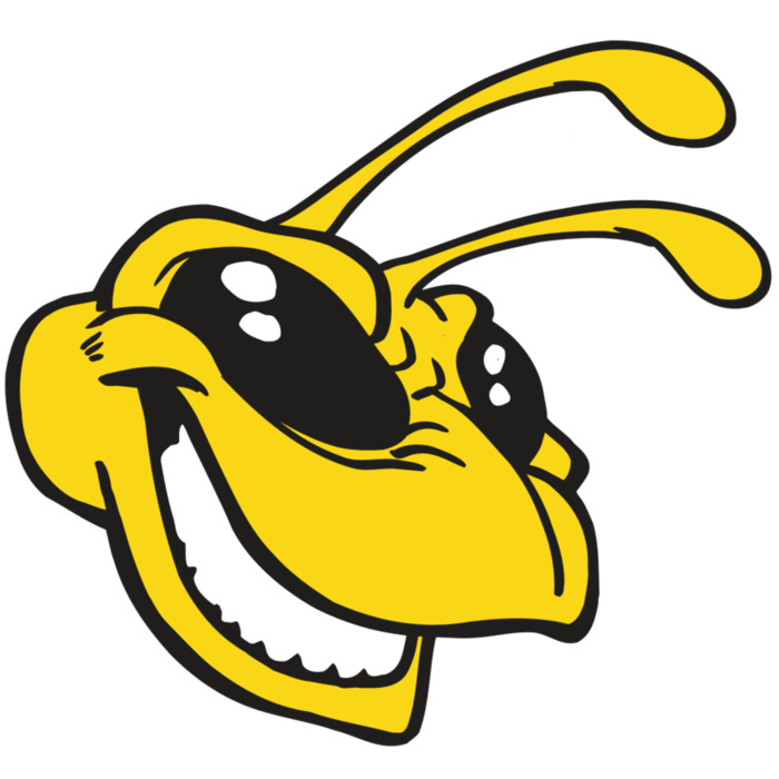 AR5 BEE 24 RQC Vignette