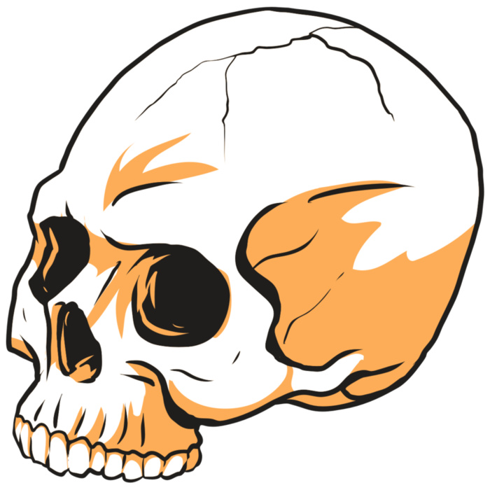 AR24 SKULL 13 RQC Vignette