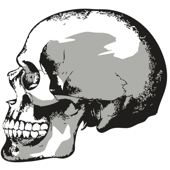 AR24 SKULL 02 RQC Vignette