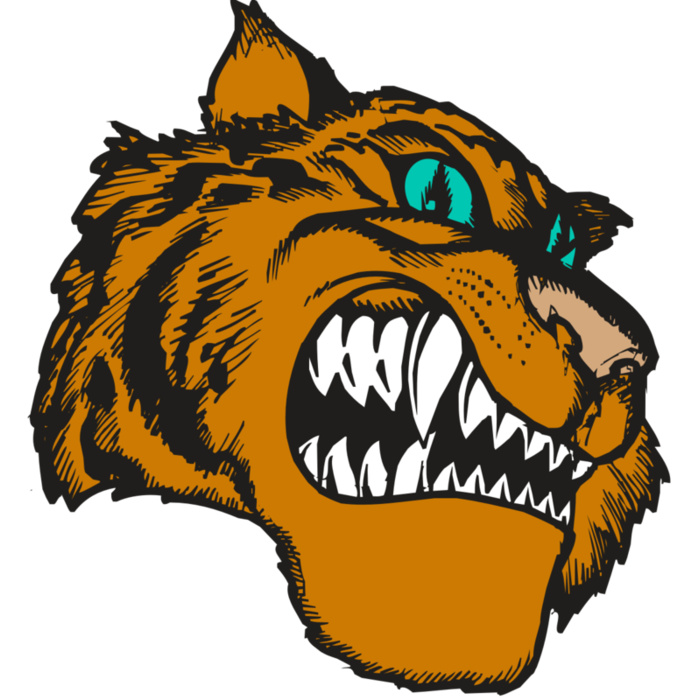 BAW TIGER 11 RC Vignette