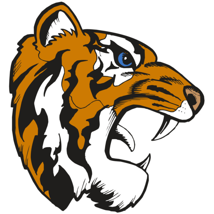 BAW TIGER 08 RC Vignette