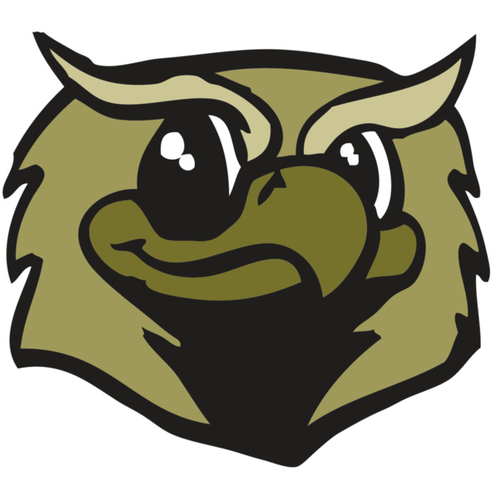 AR OWL 12 RC Vignette