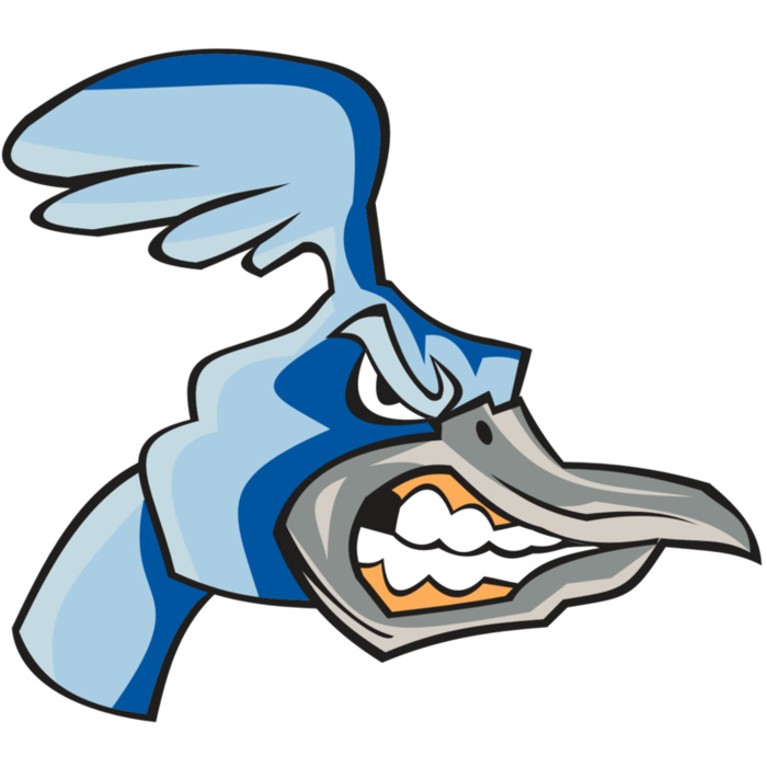 ROADRUNNER HD0503 RQC Vignette