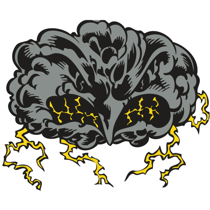 BAW STORM 11 RC Vignette