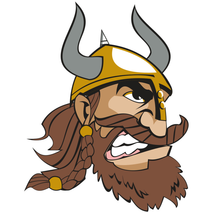 VIKING HD0503 RQC Vignette