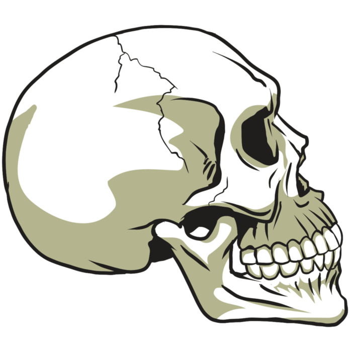 AR24 SKULL 12 RQC Vignette