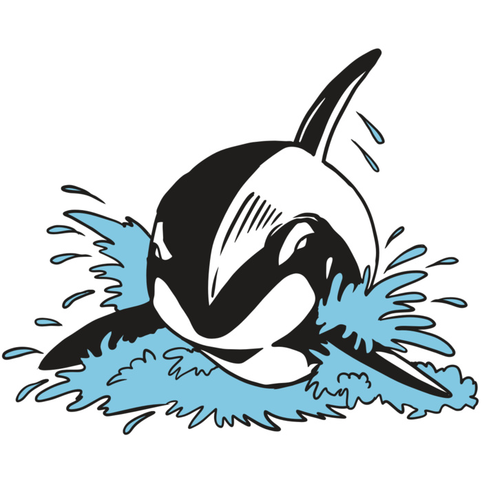 AR19 ORCA 01 RQC Vignette