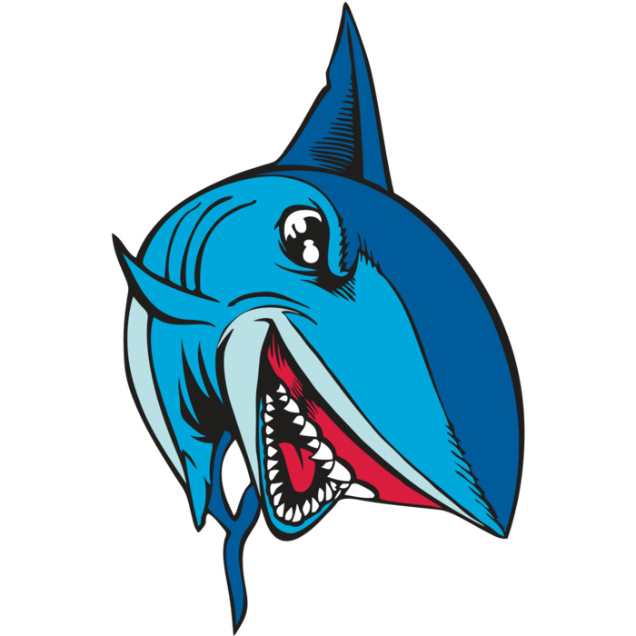 BAW SHARK 02 RC Vignette