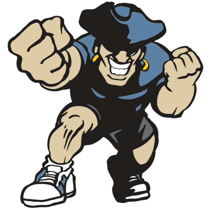 AR PATRIOT 18 RC Vignette