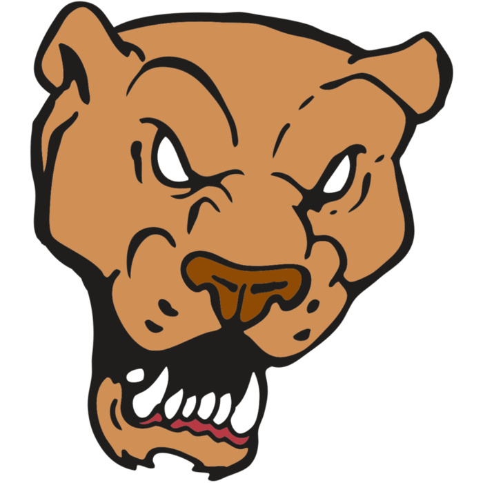 AR2 PANTHER 02 RQC Vignette