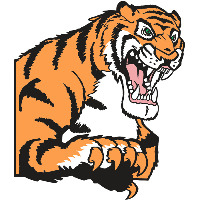 AR TIGER 10 RC Vignette