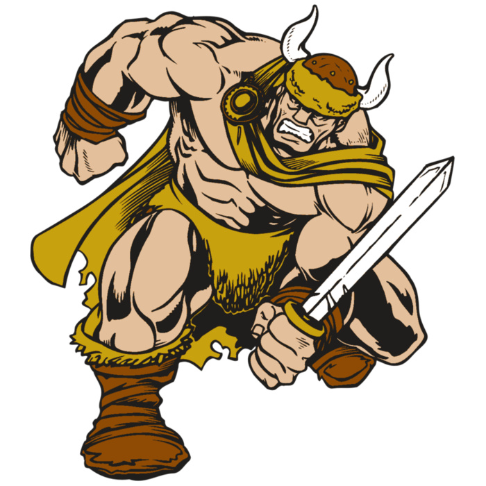 AR VIKING 35 RC Vignette