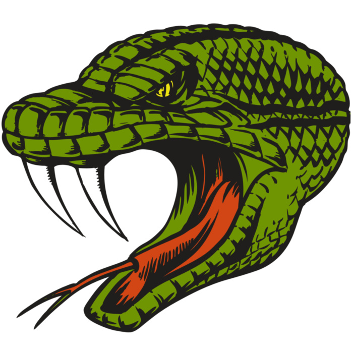 BAW SNAKE 14 RC Vignette