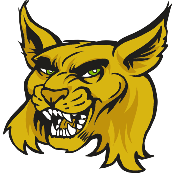 AR30 WILDCAT 03 RQC Vignette