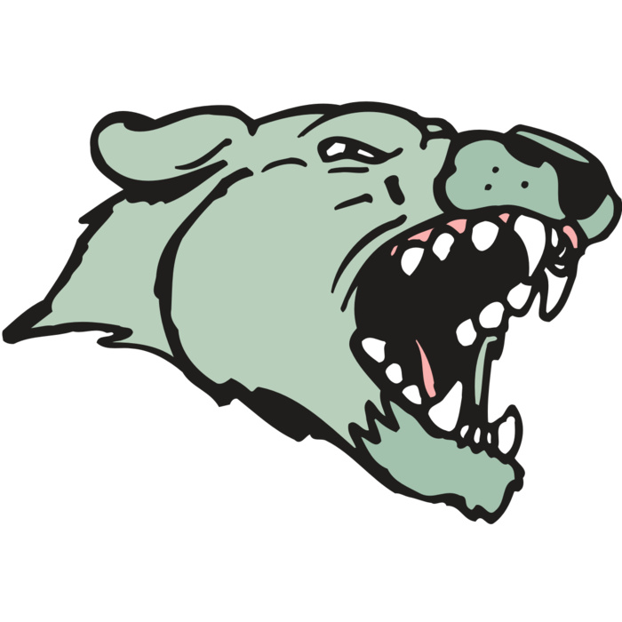 AR5 COUGAR 33 RQC Vignette