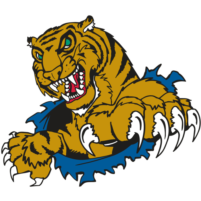 AR TIGER 69 RC Vignette