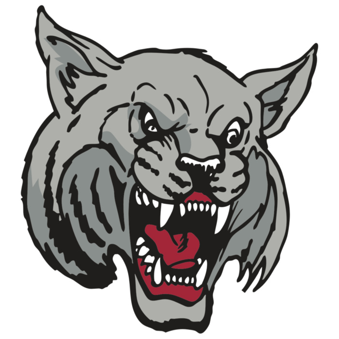 AR WILDCAT 42 RC Vignette