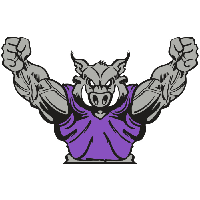 AR RAZORBACK 10 RC Vignette