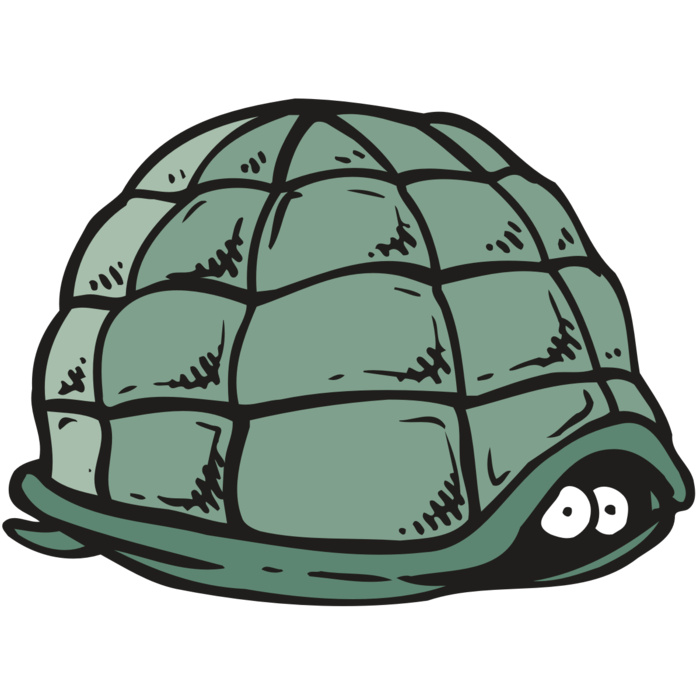 AR5 Turtle 10 RQC Vignette