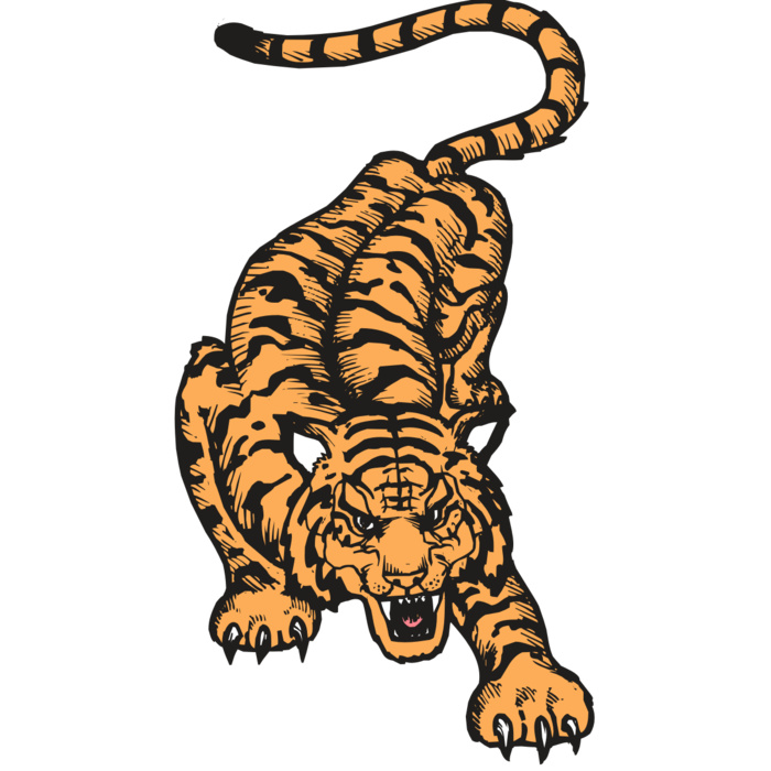 BAW TIGER 01 RC Vignette