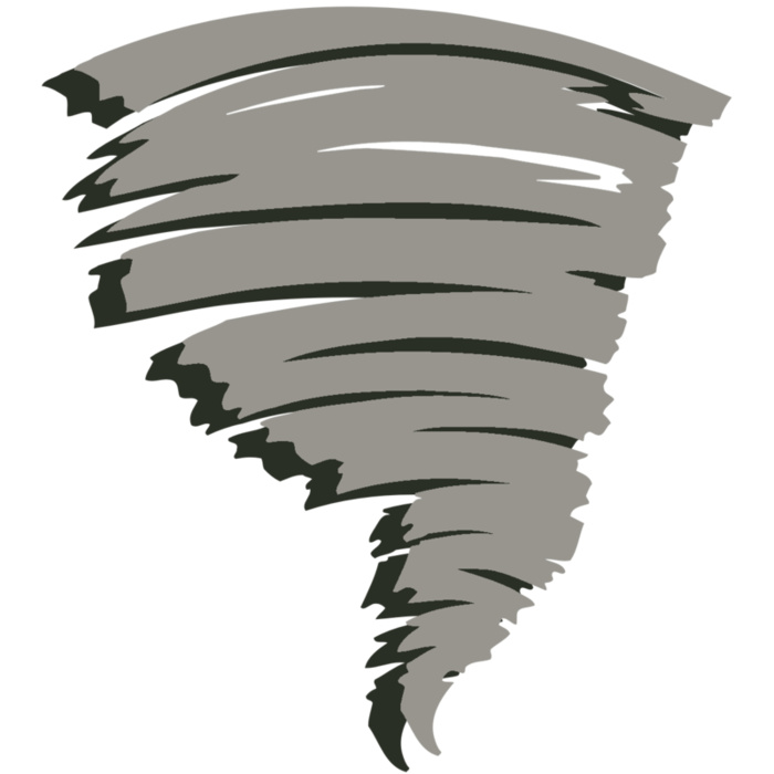 AR STORM 11 RC Vignette