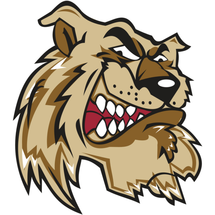 WILDCAT HD0502 RQC Vignette