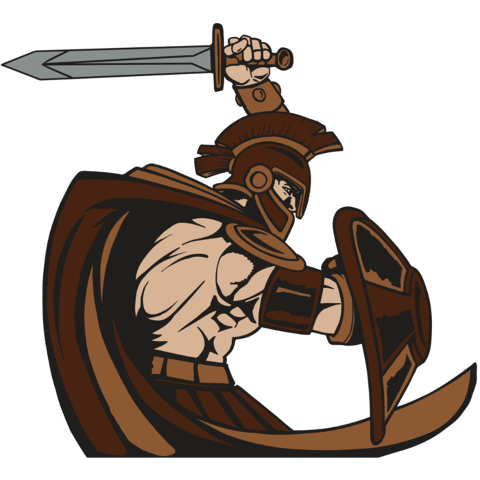 AR PALADIN 43 RC Vignette