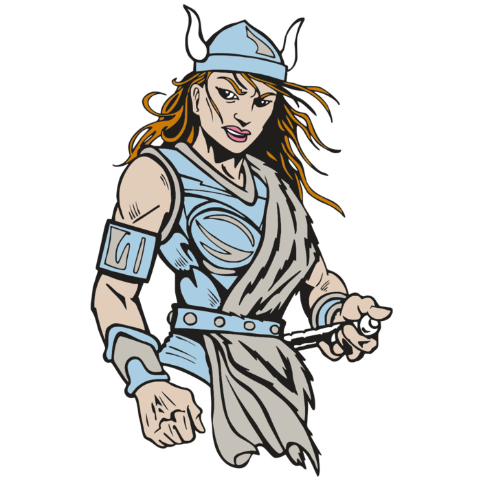 AR5 VIKING 29 RQC Vignette