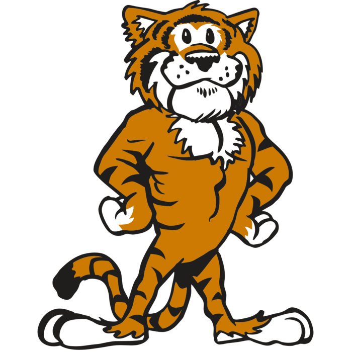 AR TIGER 91 RC Vignette