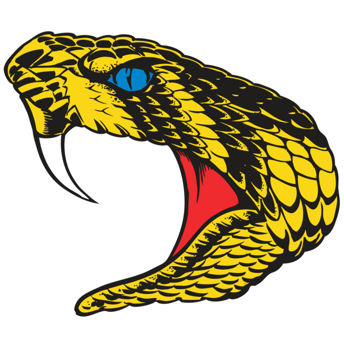 BAW SNAKE 06 RC Vignette