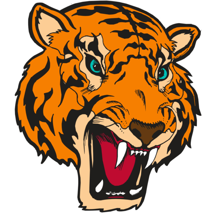 BAW TIGER 12 RC Vignette