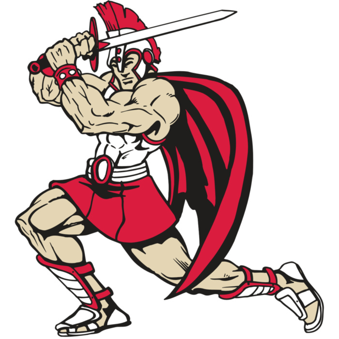 AR PALADIN 22 RC Vignette