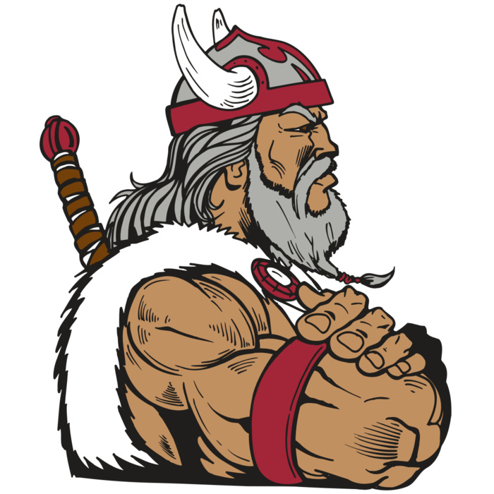 AR5 Viking 25 RQc Vignette