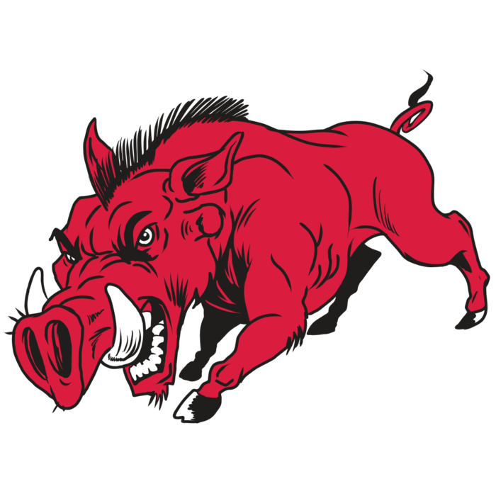 AR22 RAZORBACK 01 RQC Vignette