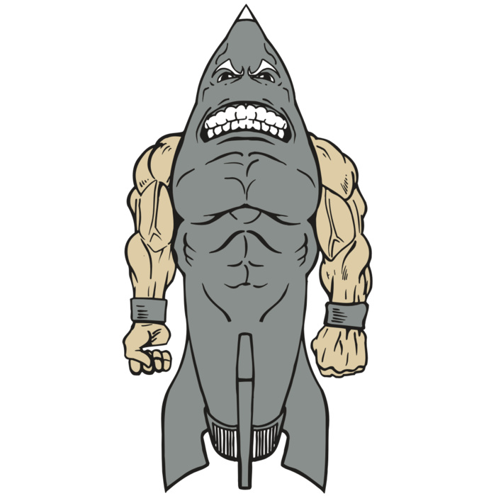 AR ROCKET 23 RC Vignette