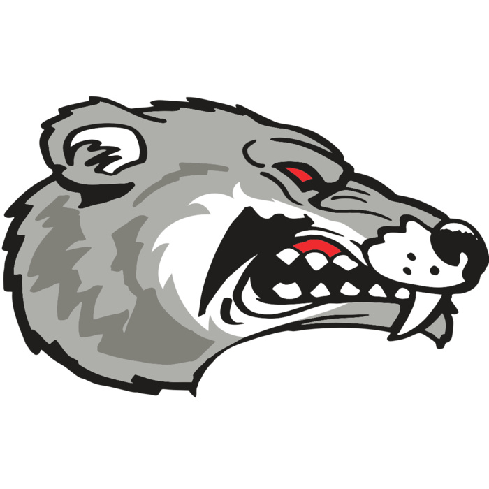 AR WOLVERINE 13 RC Vignette