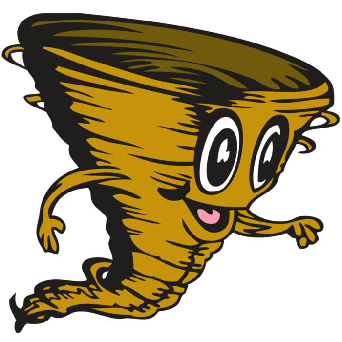 BAW STORM 14 RC Vignette