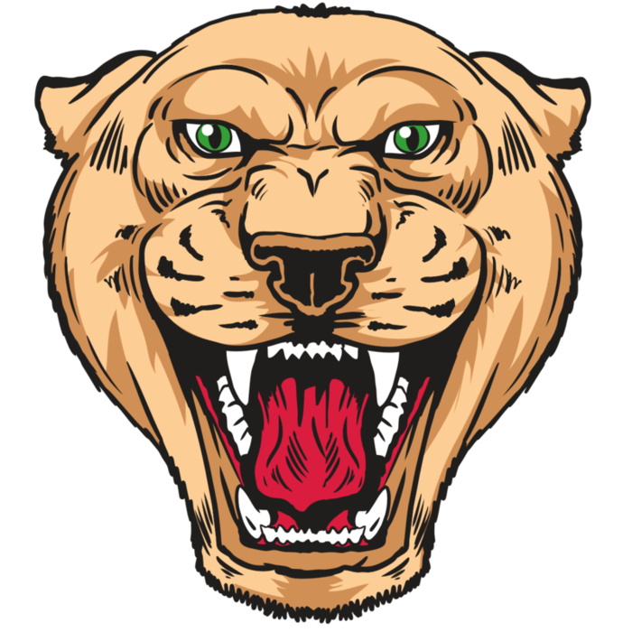 AR13 PNTHR 01 RQC Vignette