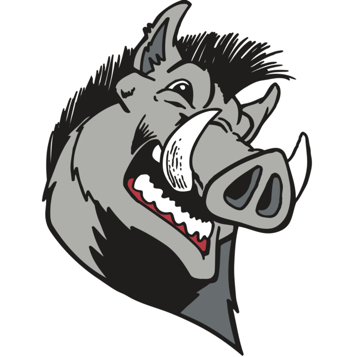 AR RAZORBACK 15 RC Vignette