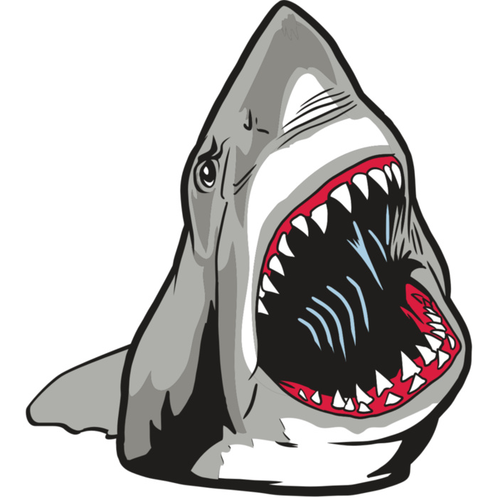 AR20 SHARK 45 RQC Vignette