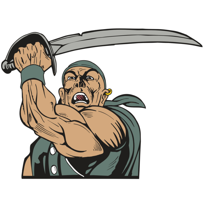 AR5 PIRATE 41 RQC Vignette