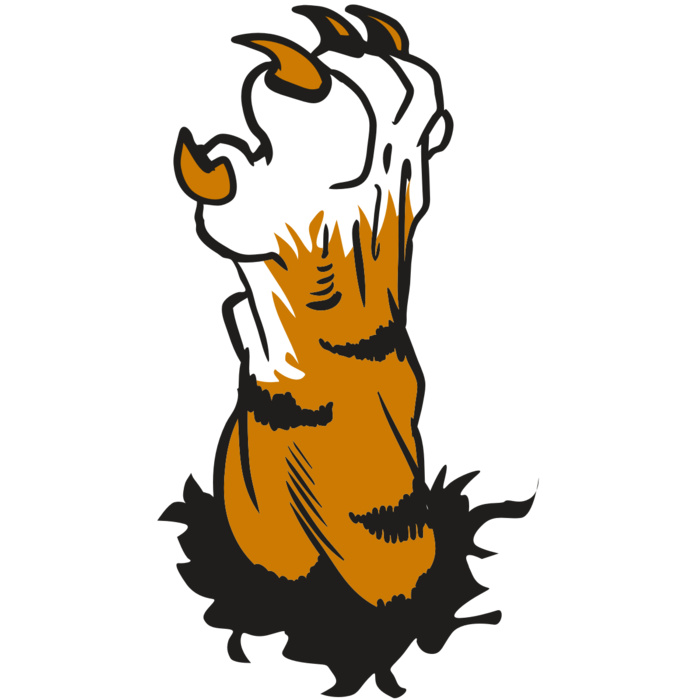 AR9 TIGER CLAW 01 RQC Vignette